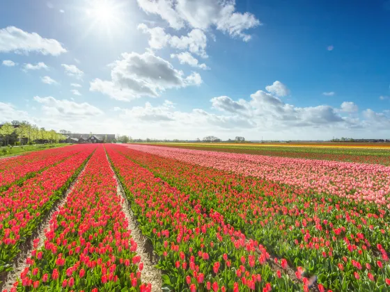 5-звездочные отели в г. Яньчэн