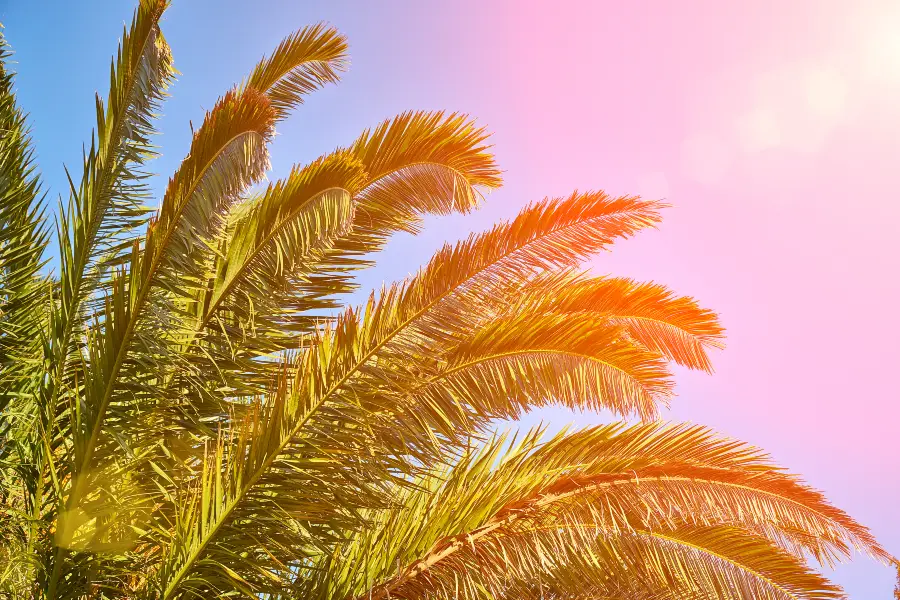 Levante Beach, Benidorm