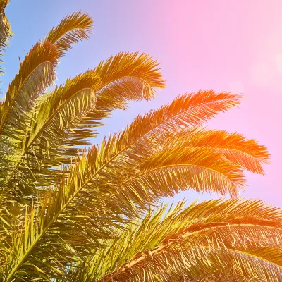 3-звездочные отели в г. Бенидорм