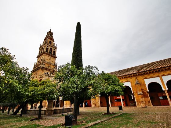 Mosque-Cathedral of Córdoba