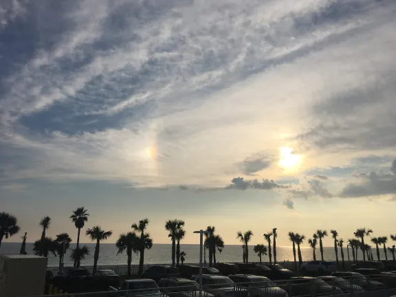 Отзывы об отеле Los Amigos Beach Club