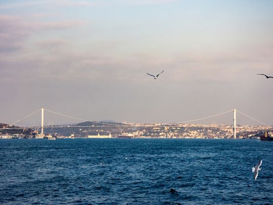 Bosphorus