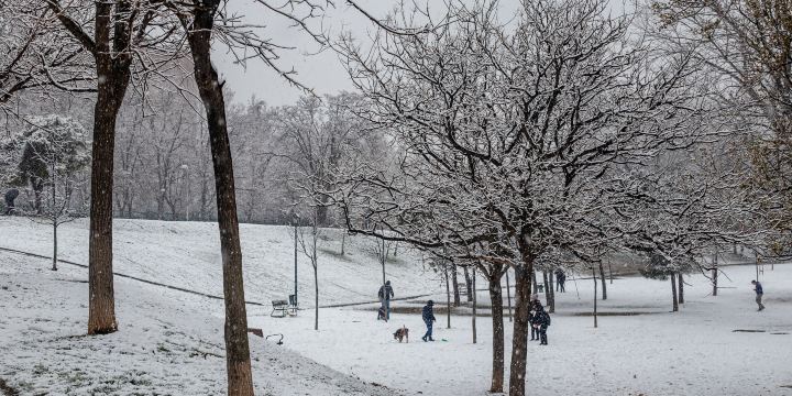 Hubin Park