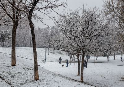 Panjin Lakeside Park