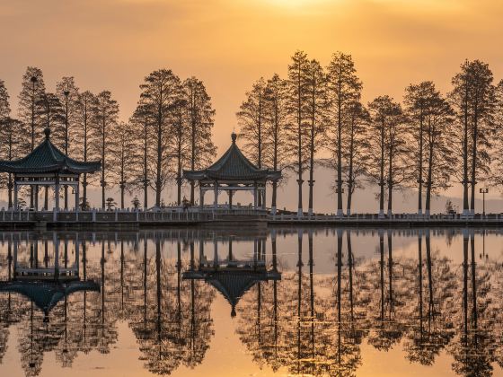 Donghu Ecology Tourism Area