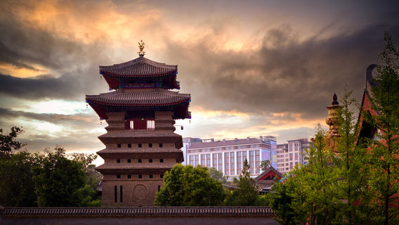 Xingyang