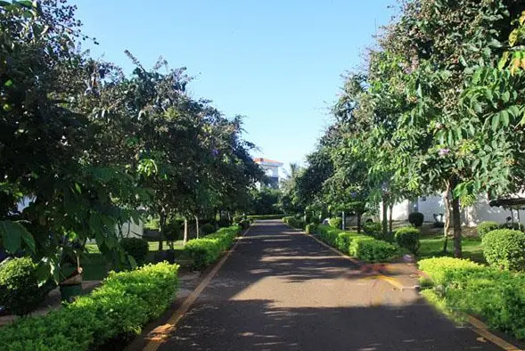 Xiangyangcun Park