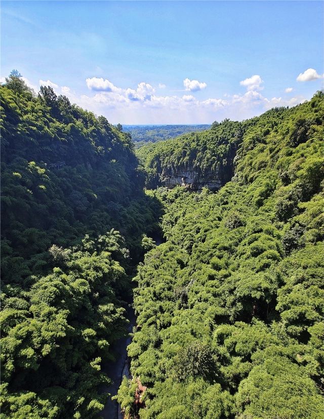 Bamboo Canyon Scenic Area (Jinji Valley)