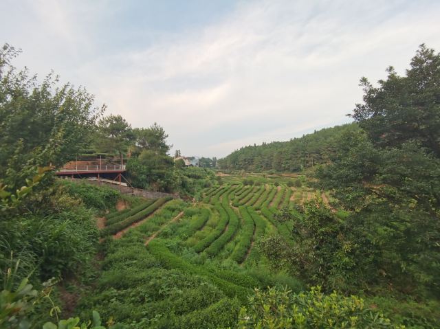 일선천
