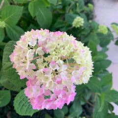 花晨美食厅(站前路店) User Photo