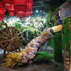 Lao Dian Mountain Village· Yunnan Ethnic Cuisine (Chuncheng Road Branch) User Photo