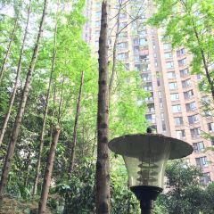 Wu Tong Mei Unique Cuisine User Photo