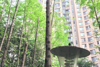 吳童妹特色江湖菜用戶圖片