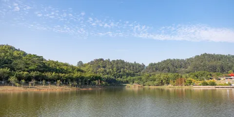 大夫山森林公園