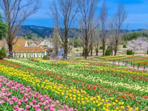 Okayama Forest Park