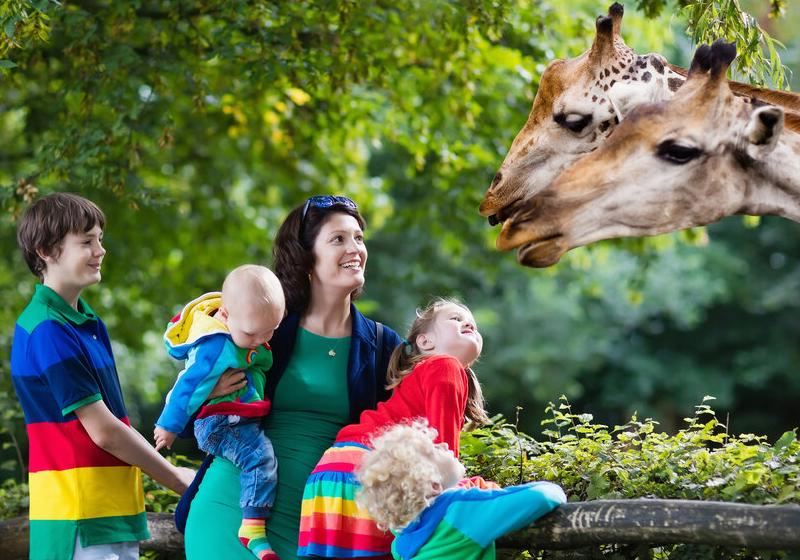 Best US Zoos to Visit in 2026
