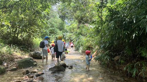 Nanhai Bay Forest Ecological Park