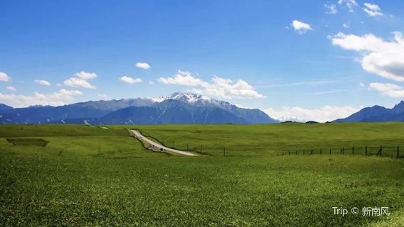 Wulasitai Grassland