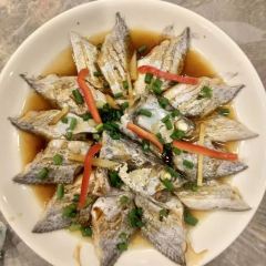 Cafe Tribu張用戶圖片