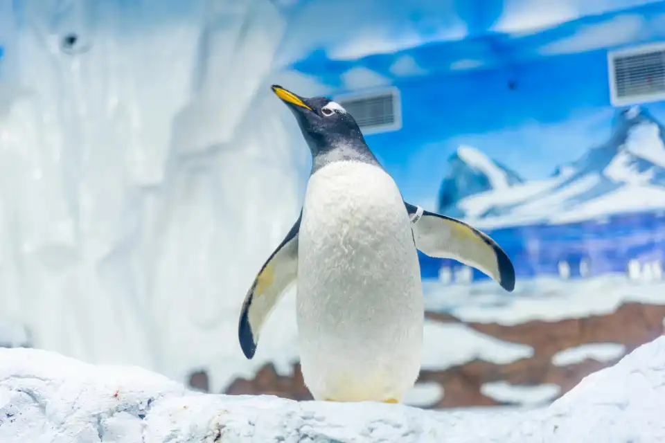 4_Changsha Sea World