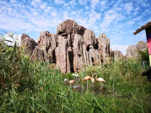 Dafeng Port Zoo