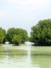 Wisata Alam Mangrove Pantai Indah Kapuk