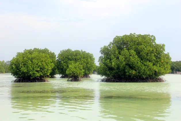 Hutan Kota GBK周辺のホテル