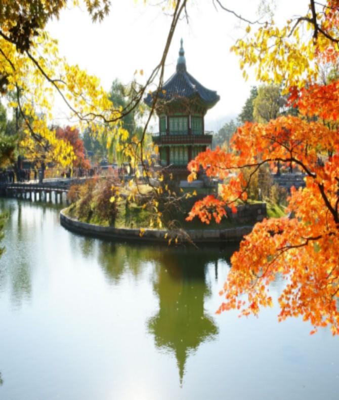 서울 여행 가이드: 가을에 꼭 가봐야 할 단풍 명소 10곳