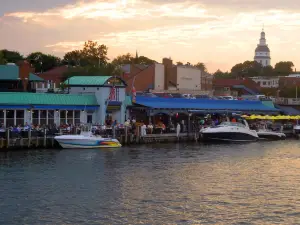 Pusser's Caribbean Grille - Annapolis Restaurants