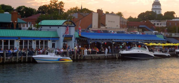 Pusser's Caribbean Grille - Annapolis Restaurants