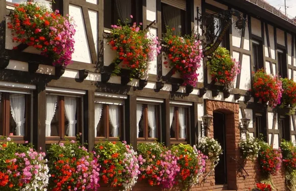 Restaurant Schneider