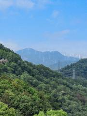 Phoenix Mountain of Shenzhen