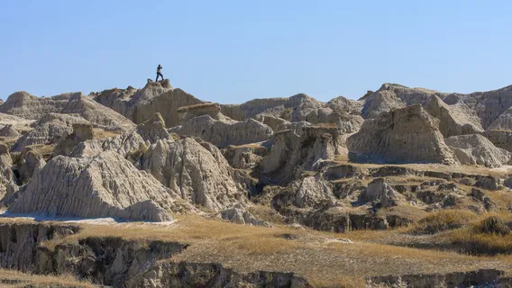 ni lin guo jia di zhi gong yuan