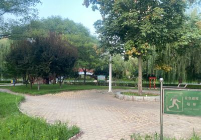 Binhe Park