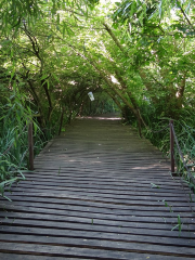 Reserva Costera Municipal de Avellaneda, Eco Área