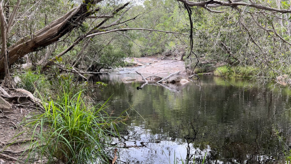 Национальный парк Макалистер Рейндж