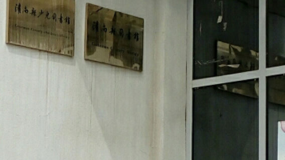 Guannanxian Shao'er Library