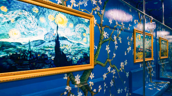 Meta Show - Thiso Mall