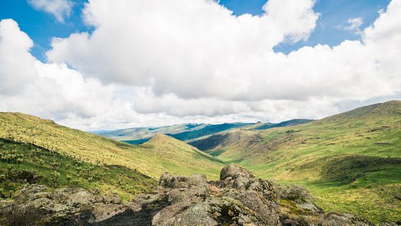 Aberdare National Park