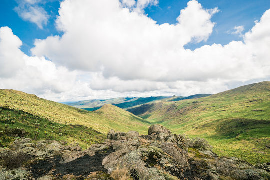 Aberdare National Park