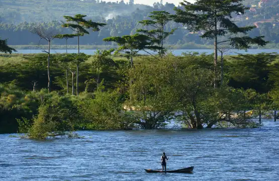 โรงแรมในเอนเทบเบ้