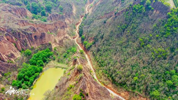 เสี่ยวจินตง