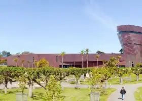 de Young Museum