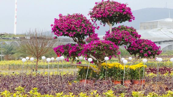 Guangken (Maoming) National Tropical Agriculture Park