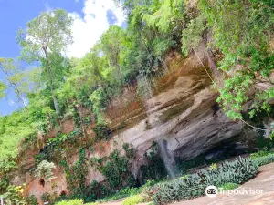 Palhares Cave Municipal Park