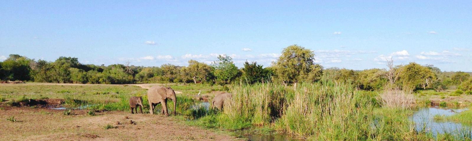Sabie ParkTours de un día