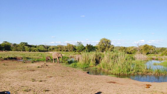 Sabi Sand Game Reserve