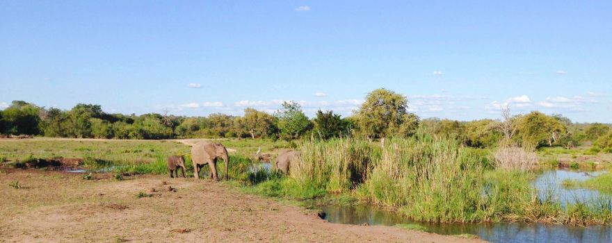 Sabi Sand Game Reserve