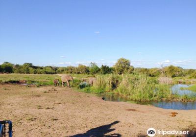 Sabi Sand Game Reserve