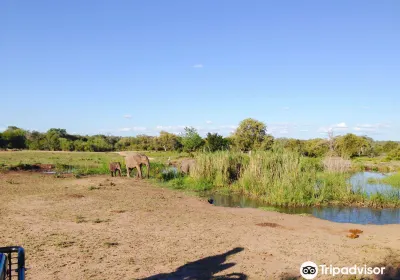 Sabi Sand Game Reserve